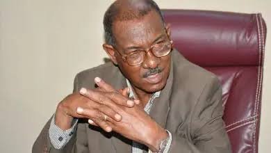 مجدي عبد القيوم